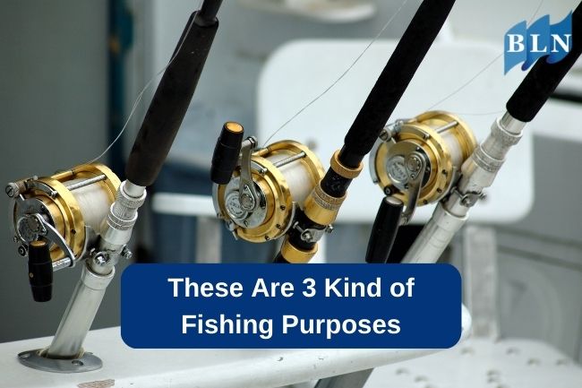 These Are 3 Kind of Fishing Purposes